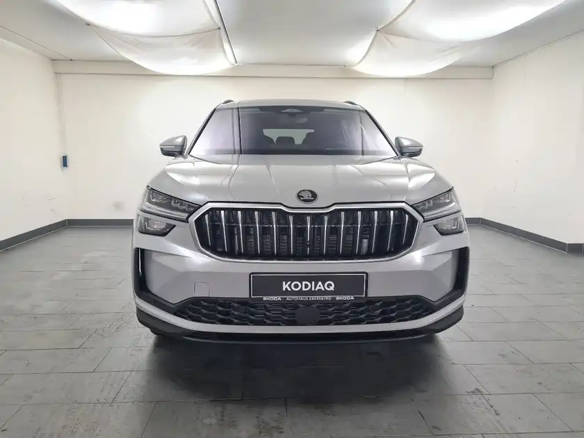 ŠKODA KODIAQ (1/16)