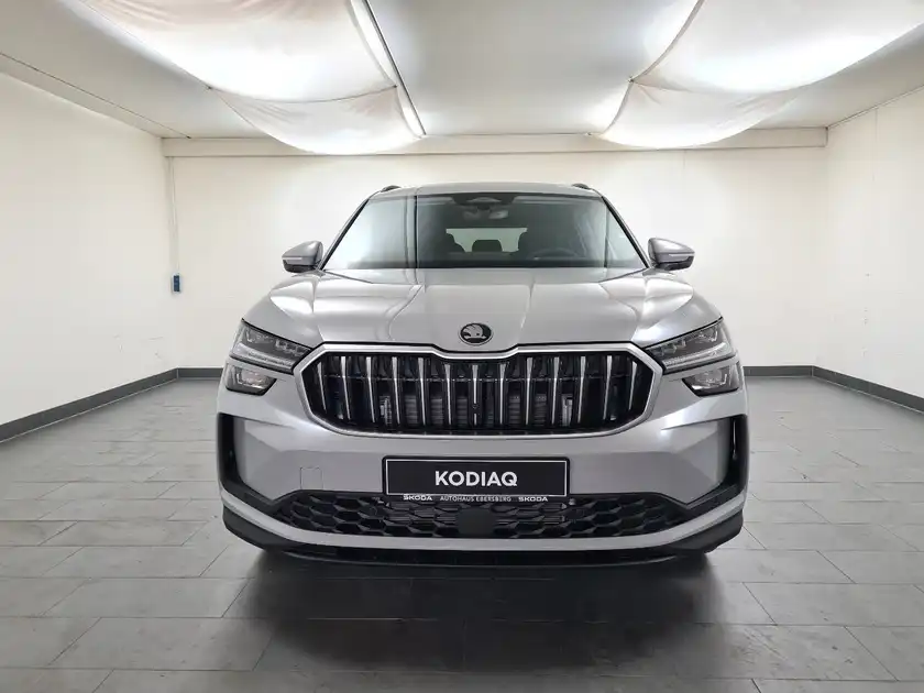 ŠKODA KODIAQ (1/17)