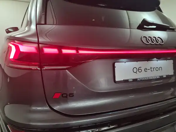 AUDI E-TRON (14/19)