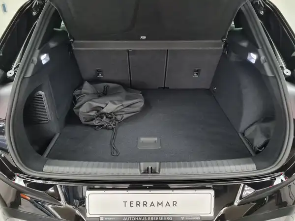 CUPRA TERRAMAR (11/18)