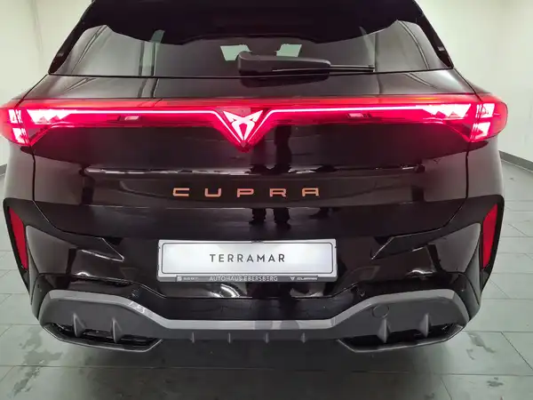 CUPRA TERRAMAR (13/18)