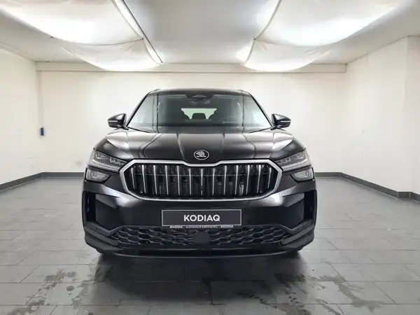 ŠKODA KODIAQ (1/16)