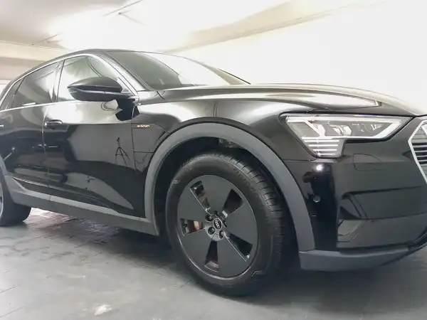 AUDI E-TRON (14/17)