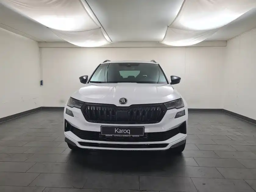 SEAT ATECA (1/17)