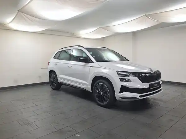 SEAT ATECA (3/17)