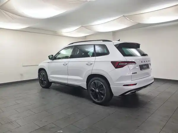 SEAT ATECA (4/17)