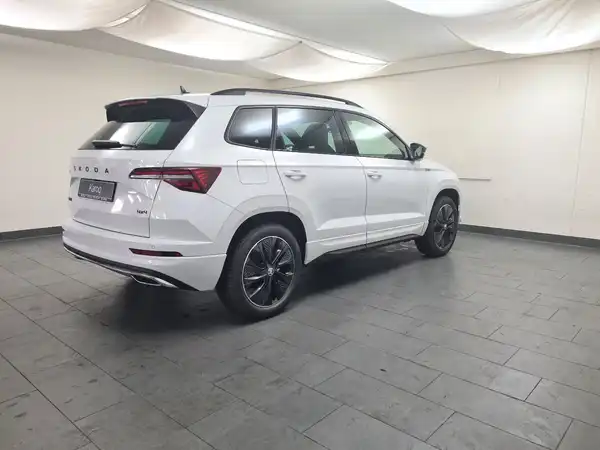 SEAT ATECA (6/17)