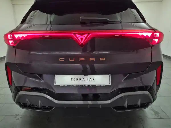 CUPRA TERRAMAR (10/16)