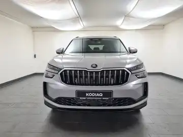 ŠKODA KODIAQ (1/17)