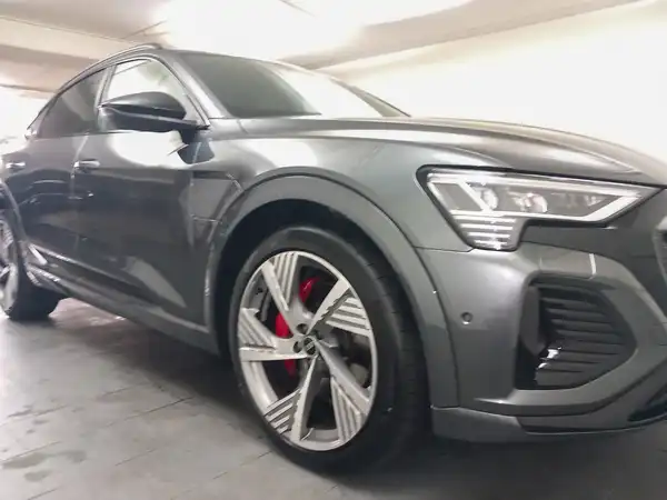 AUDI Q8 (15/18)