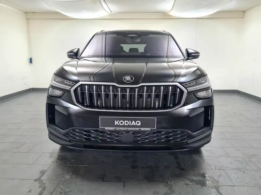 ŠKODA KODIAQ (1/18)