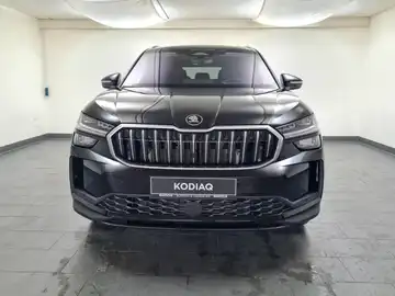 ŠKODA KODIAQ (1/18)