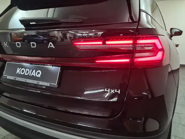 ŠKODA KODIAQ (13/18)