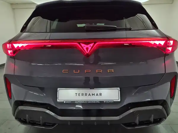 CUPRA TERRAMAR (13/18)