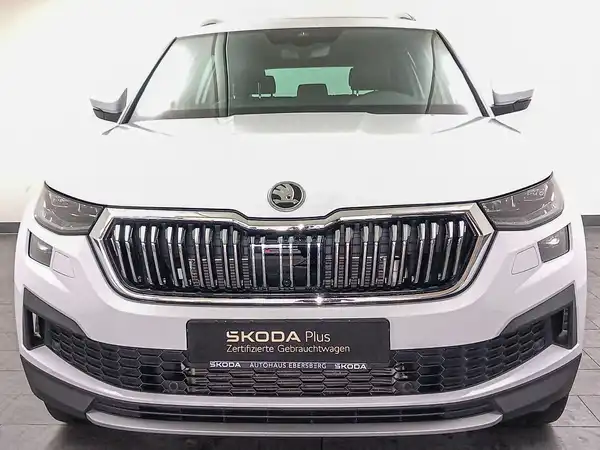 ŠKODA KODIAQ (3/18)