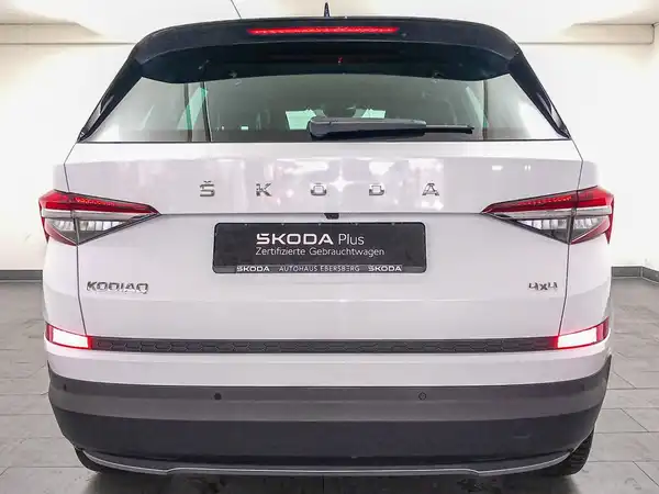 ŠKODA KODIAQ (6/18)