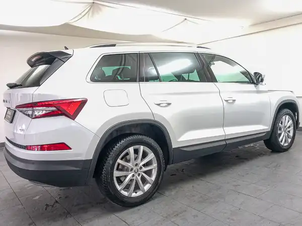 ŠKODA KODIAQ (7/18)