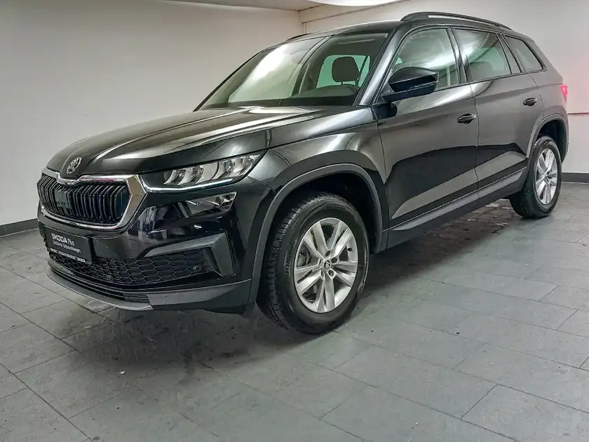 ŠKODA KODIAQ (1/16)