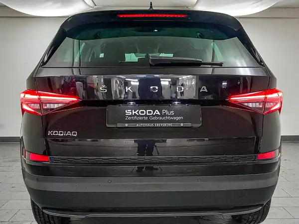 ŠKODA KODIAQ (6/16)