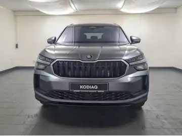 ŠKODA KODIAQ (1/16)