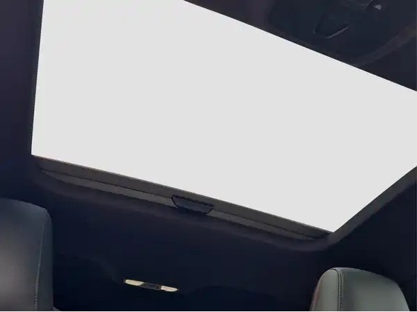 AUDI RS3 SPORTBACK (14/17)