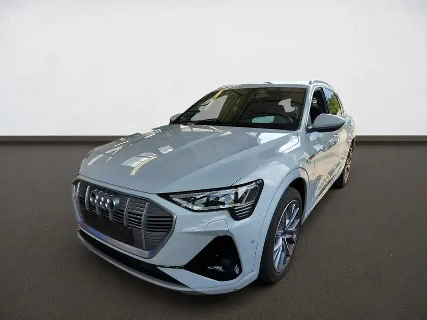 AUDI E-TRON (1/4)