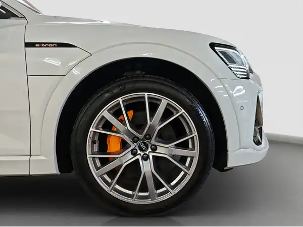 AUDI E-TRON (16/16)
