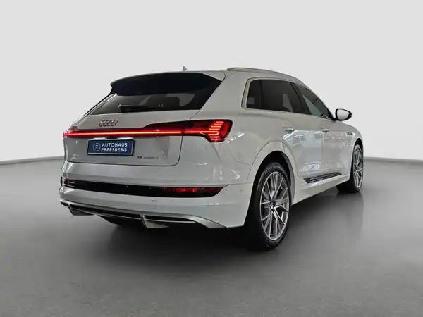 AUDI E-TRON (5/16)