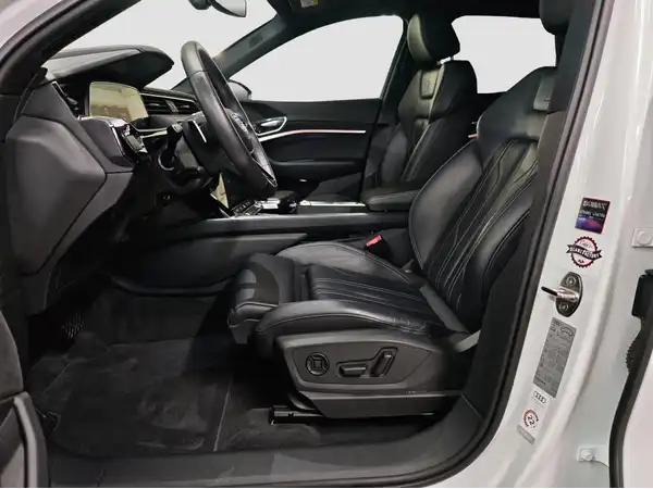 AUDI E-TRON (8/16)