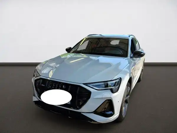 AUDI E-TRON (1/4)