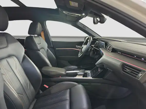 AUDI E-TRON (15/17)