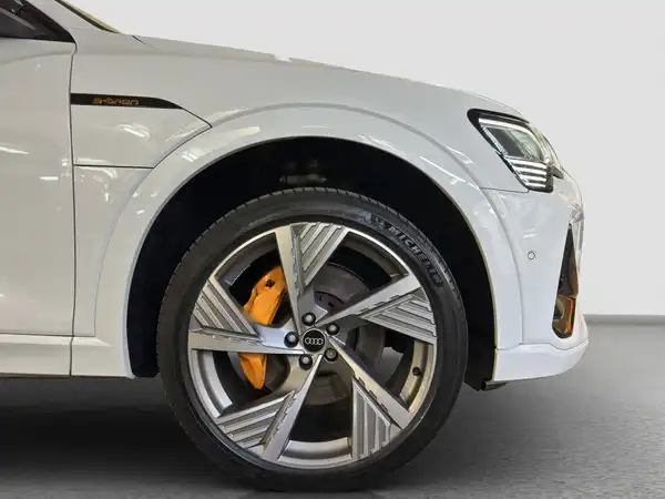 AUDI E-TRON (17/17)