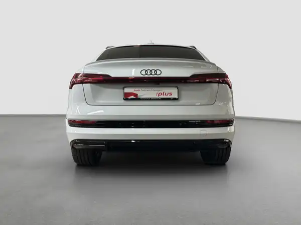 AUDI E-TRON (6/17)