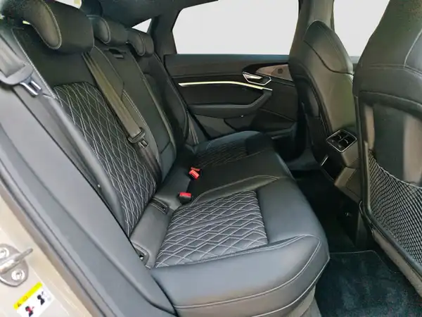 AUDI E-TRON (15/16)