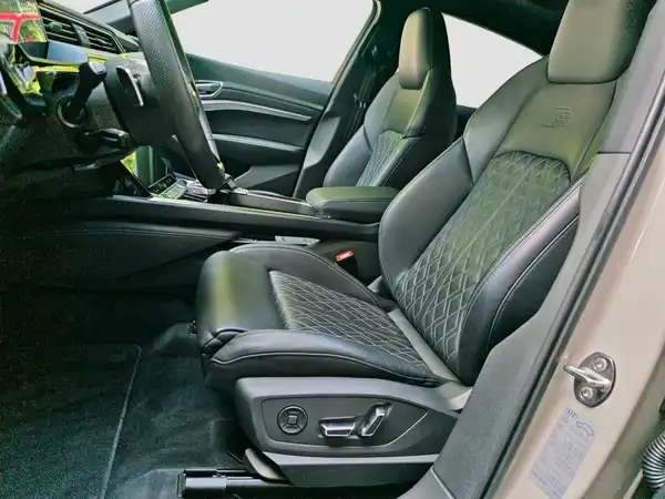 AUDI E-TRON (8/16)