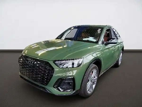 AUDI Q5 (1/4)
