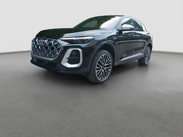 AUDI SQ5 (1/16)