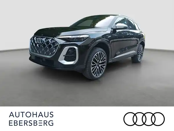 AUDI SQ5 (2/16)
