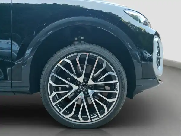 AUDI SQ5 (16/16)