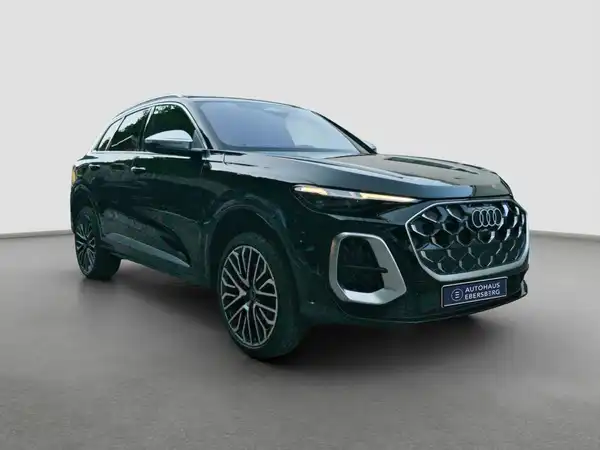 AUDI SQ5 (4/16)