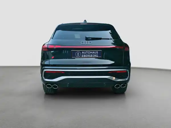 AUDI SQ5 (6/16)