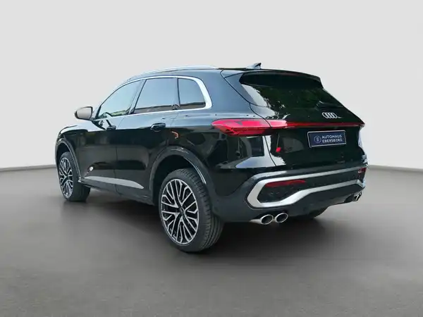 AUDI SQ5 (7/16)