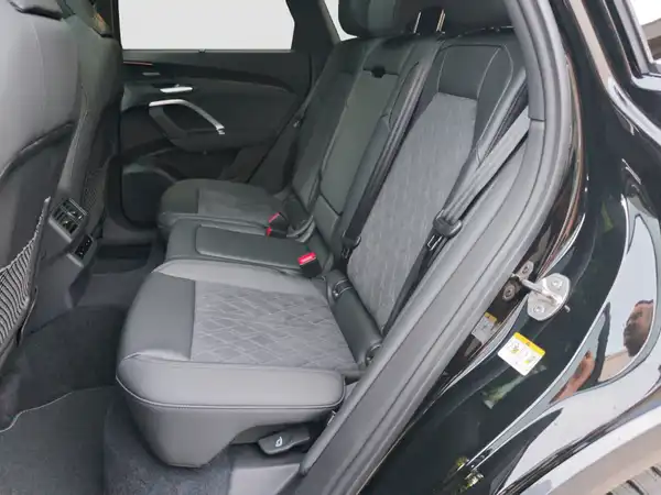 AUDI SQ5 (9/16)