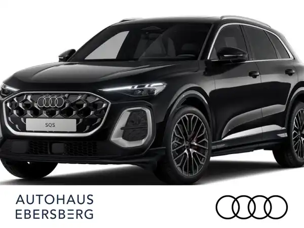 AUDI SQ5 (2/6)