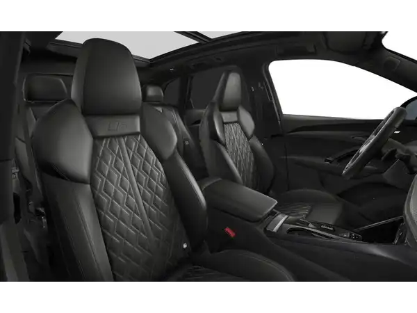 AUDI SQ5 (5/6)