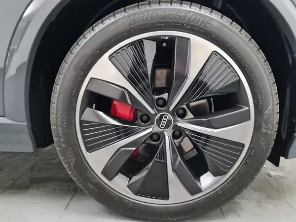 AUDI Q6 E-TRON (16/19)