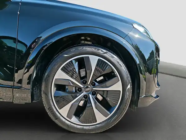 AUDI Q6 E-TRON (17/17)