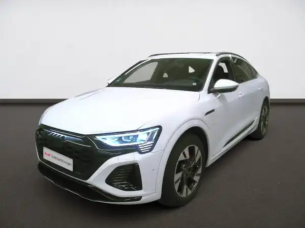 AUDI Q8 SPORTBACK E-TRON (1/5)