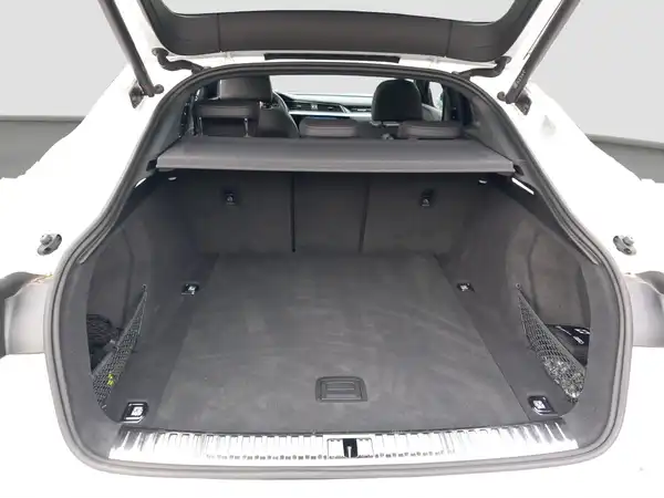 AUDI Q8 SPORTBACK E-TRON (13/16)