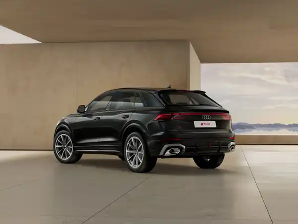 Audi RSQ8 SUV (2/3)